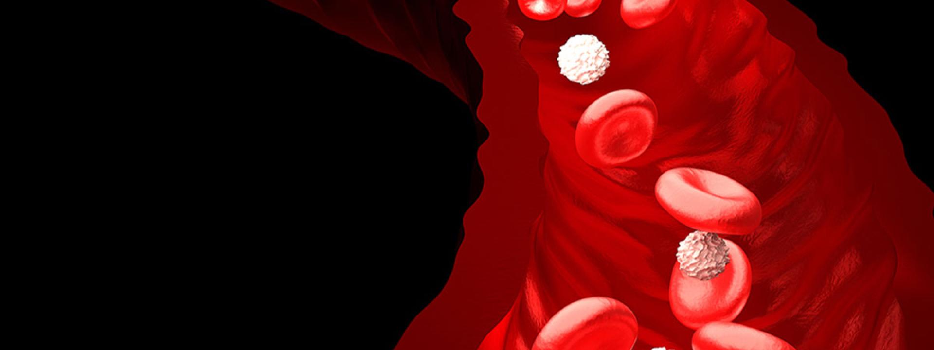 Blood cell