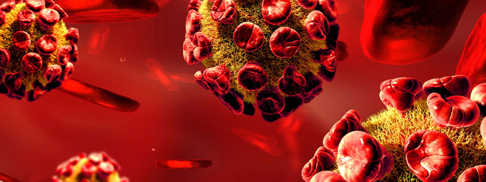 Blood cells
