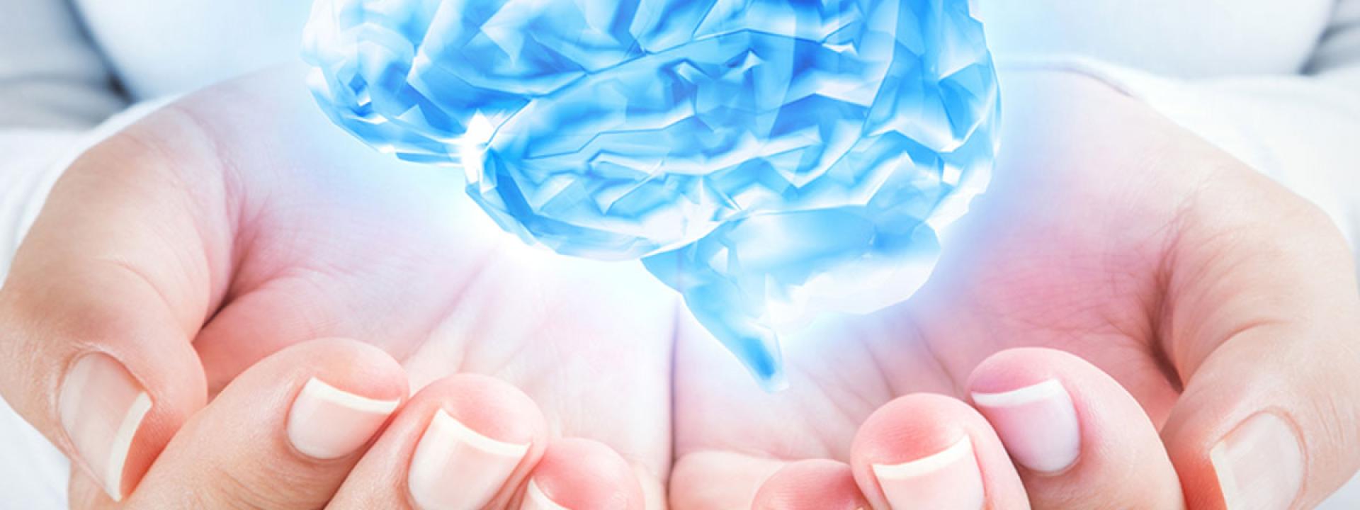 Brain