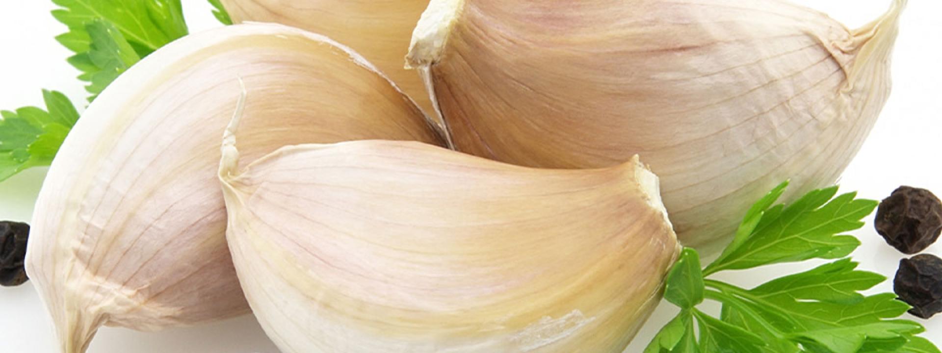 Garlic